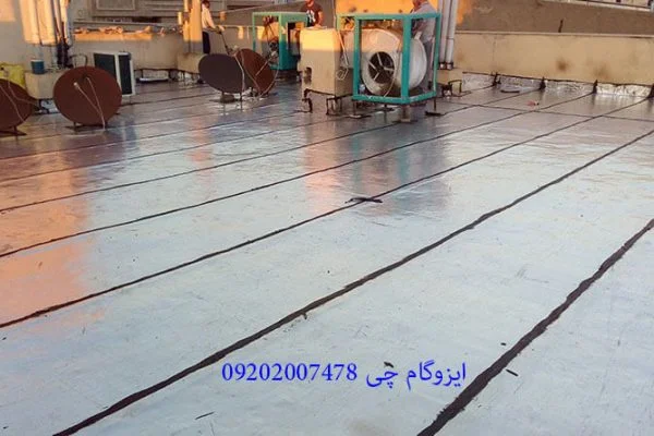 ایزوگام در گیشا